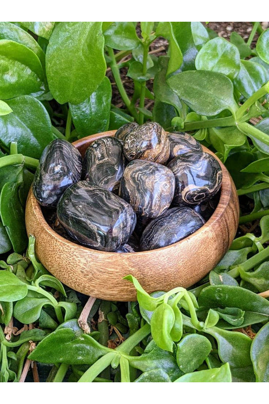 Polished Black Jasper crystals