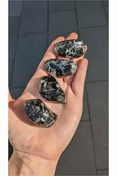Polished Indigo Gabbro Crystals