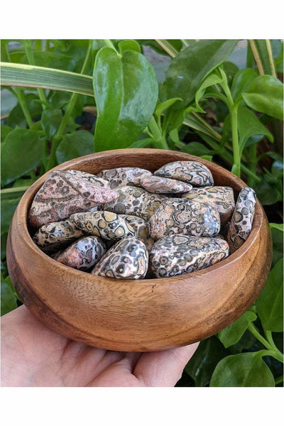 Polished Leopard skin Jasper - Calm & Peaceful 1 pc