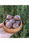 Narmada stones - Healing & Fertility Crystal 1 pc