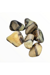 Polished Septarian Calcite Crystal