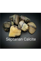 Polished Septarian Calcite Crystal