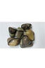 Polished Septarian Calcite Crystal