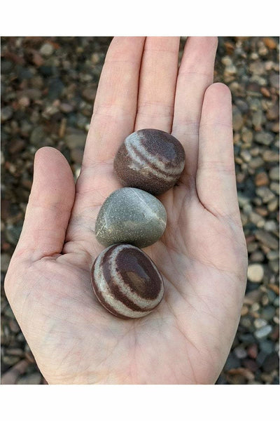 Narmada stones - Healing & Fertility Crystal 1 pc