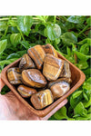 Tumbled Tigers Eye crystals - large