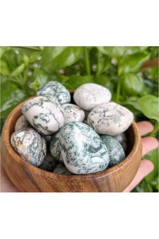 Polished Tree Moss agate crystal