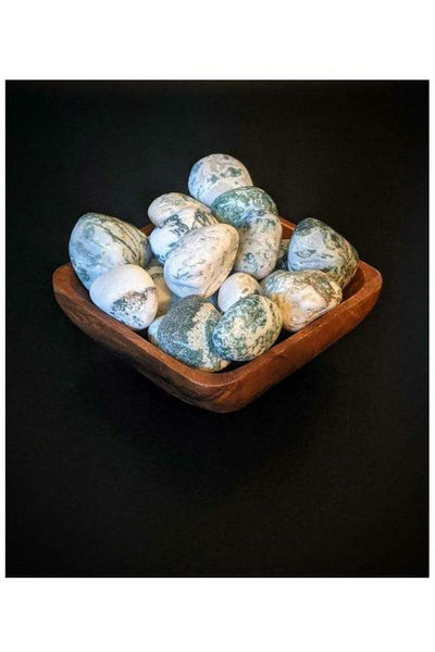 Polished Tree Moss agate crystal