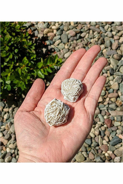 Desert Rose Selenite Crystal - 1 pc