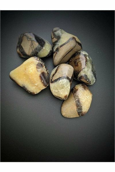 Polished Septarian Calcite Crystal