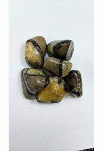 Polished Septarian Calcite Crystal