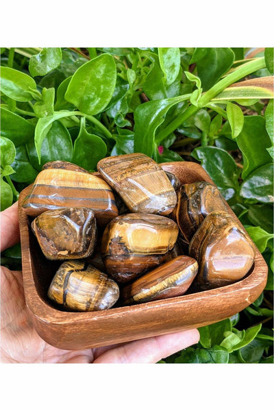 Tumbled Tigers Eye crystals - large