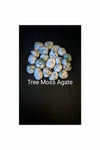 Polished Tree Moss agate crystal