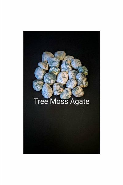 Polished Tree Moss agate crystal