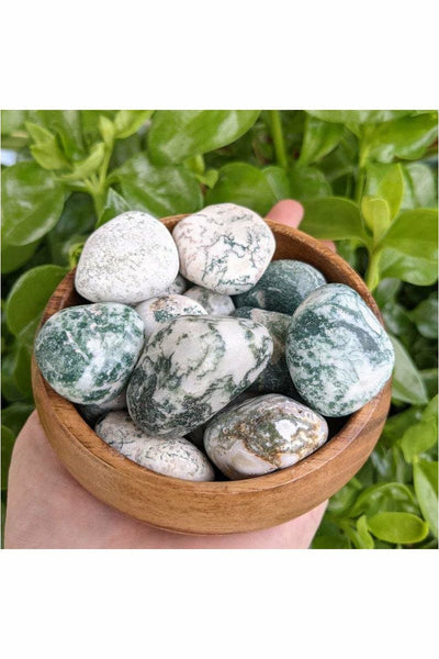 Polished Tree Moss agate crystal