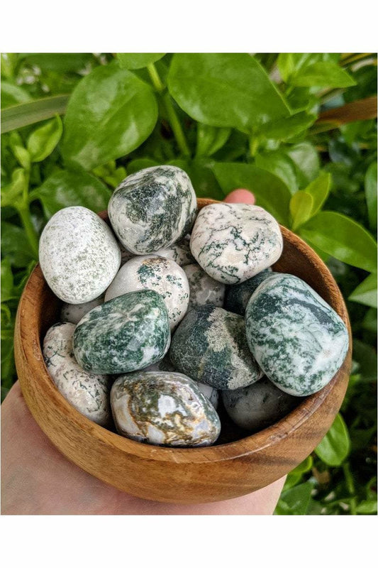Polished Tree Moss agate crystal