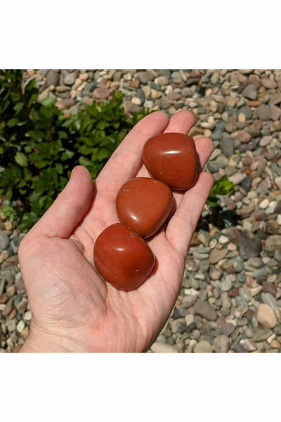 Extra Large tumbled Red Jasper