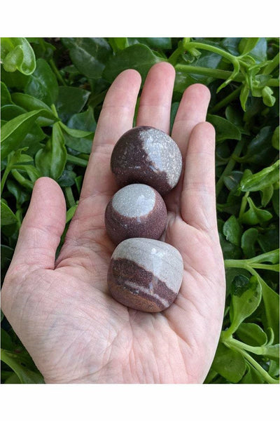 Narmada stones - Healing & Fertility Crystal 1 pc
