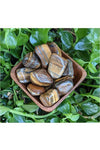 Tumbled Tigers Eye crystals - large