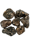 Tumbled Turritella Agate crystals