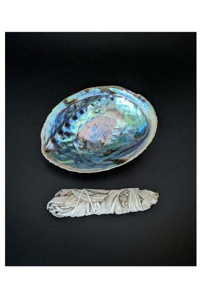 White Sage and Abalone shell smudge kit
