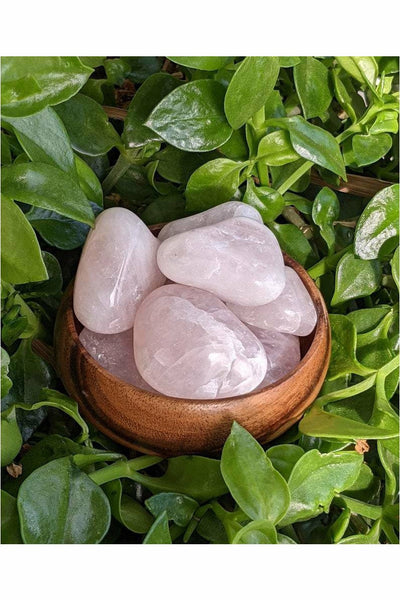 XXL Rose Quartz Healing Crystals
