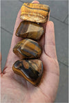 Tumbled Tigers Eye crystals - large