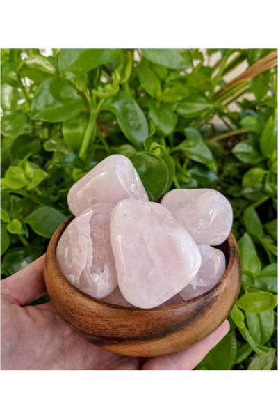 XXL Rose Quartz Healing Crystals
